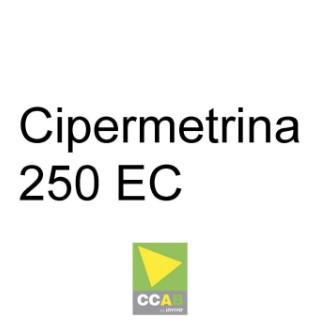 CIPERMETRINA 250EC CCAB - 0